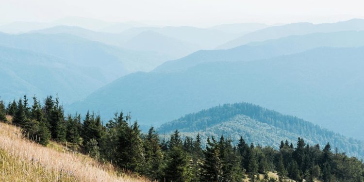 16 Best Side Hustles for Retirees