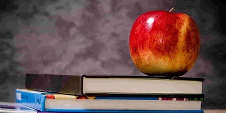 Learn Options: Volatility and Options Strategies