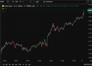 Record high price for gold US$3206+