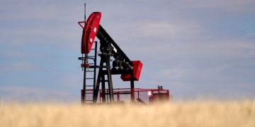 Canadian oil producers see opportunity in Donald Trump’s trade war