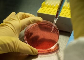 Fund for struggling biotechs takes aim at ‘tragedy’ for shareholders