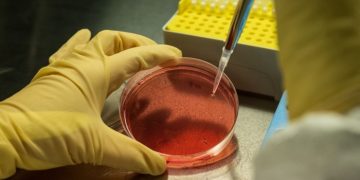 Fund for struggling biotechs takes aim at ‘tragedy’ for shareholders