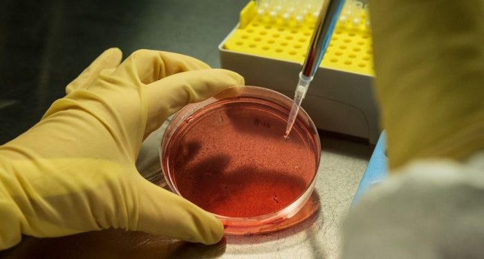 Fund for struggling biotechs takes aim at ‘tragedy’ for shareholders