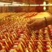 Chinese investors pile into gold funds at record pace