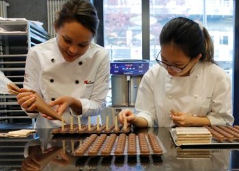 Shares in chocolate maker Barry Callebaut plunge to 12-year low