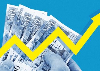 How can platforms offer such high interest rates?