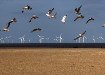 Making sense of a rough quarter for ESG funds