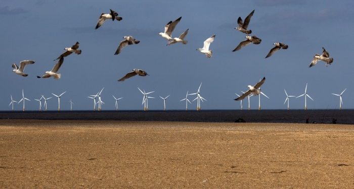 Making sense of a rough quarter for ESG funds