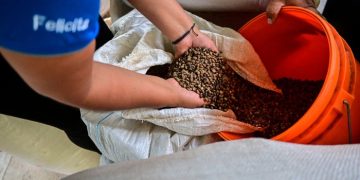 US coffee drinkers in for double shot of pain from tariffs