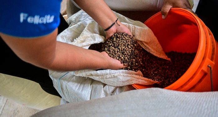 US coffee drinkers in for double shot of pain from tariffs