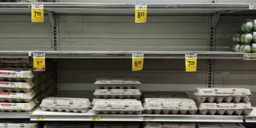 Largest US egg seller reports soaring profits amid price-fixing inquiry