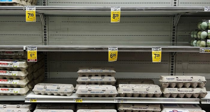 Largest US egg seller reports soaring profits amid price-fixing inquiry