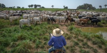 Donald Trump’s China trade war a ‘boon’ for Brazil but sends US farmers reeling