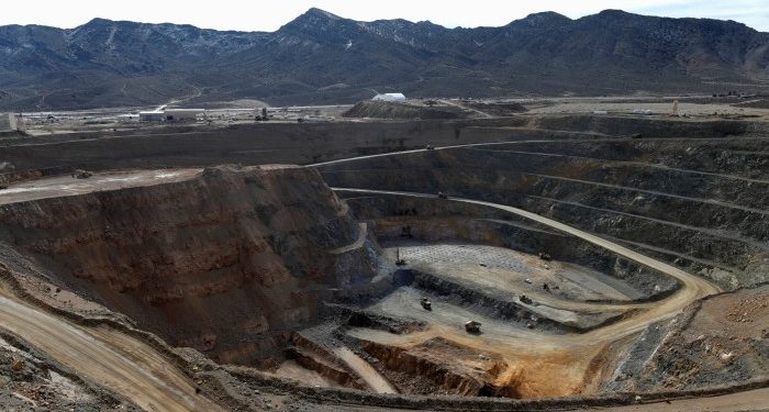 US rare earth champion faces trade war test after tariffs halt China sales