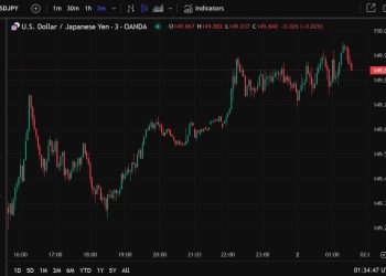BoJ's Ueda says US tariffs likely to push up US inflation in near term