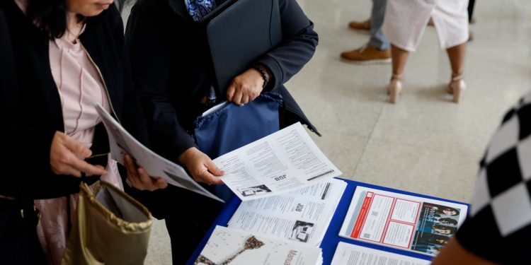 How to land a job in a ‘low firing, low hiring’ market: economist
