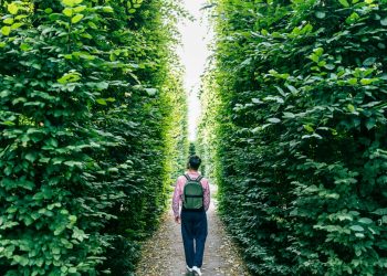 Republican student loan plan has 30-year repayment timeline