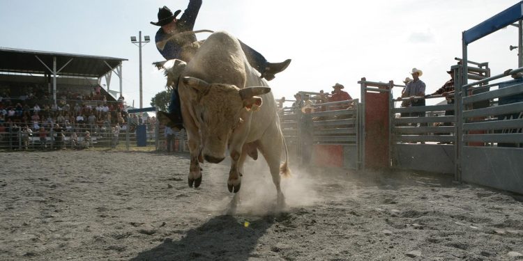 Is Bitcoin Bull Run Back? Daily RSI Shows Only Mild Bullish Momentum