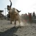 Is Bitcoin Bull Run Back? Daily RSI Shows Only Mild Bullish Momentum
