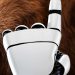 Amazon Has Made a Robot With a Sense of Touch