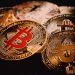 Bitcoin Raging Bull Indicator Turns Back On, But This Level Holds The Key