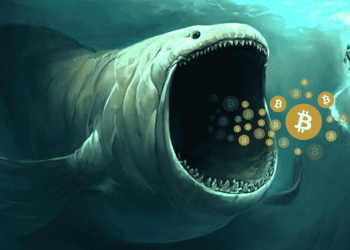 What Happened To The Bitcoin Whale Who Opened $1 Billion Long And Short Positions?