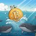 Bitcoin: Whales withdraw 110K BTC – A prelude to a new ATH?