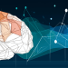 Sakana introduces new AI architecture, ‘Continuous Thought Machines’ to make models reason with less guidance — like human brains