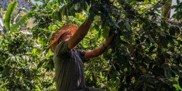 Latin America wary of US trade backlash as it builds relations with China