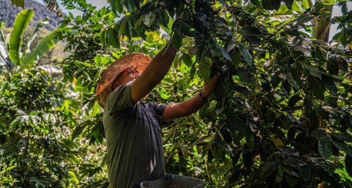 Latin America wary of US trade backlash as it builds relations with China