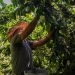 Latin America wary of US trade backlash as it builds relations with China