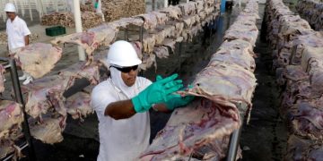 JBS says shareholders approve US listing for world’s largest meatpacker