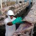 JBS says shareholders approve US listing for world’s largest meatpacker