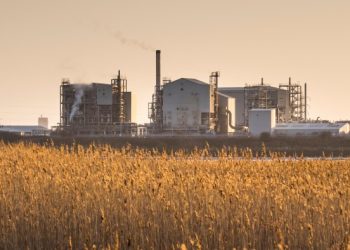 The secret of a defensible market position? Look for a moat