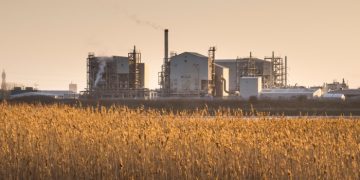 The secret of a defensible market position? Look for a moat