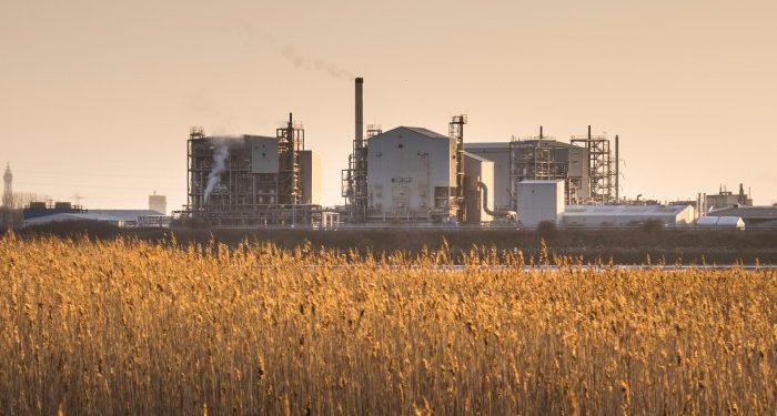 The secret of a defensible market position? Look for a moat