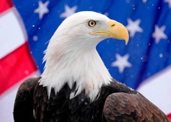 Investors ask ‘what next’ as the American fever breaks