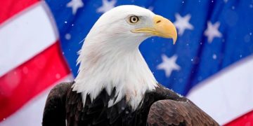 Investors ask ‘what next’ as the American fever breaks