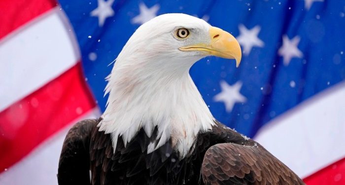 Investors ask ‘what next’ as the American fever breaks