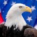 Investors ask ‘what next’ as the American fever breaks