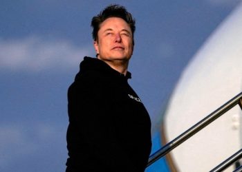 Half an Elon Musk is still better than none