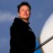Half an Elon Musk is still better than none