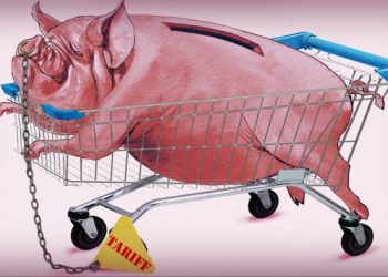 The challenge of using excess global savings