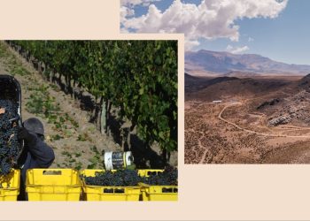 Argentina’s wine heartland eyes copper riches