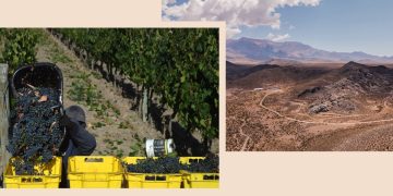 Argentina’s wine heartland eyes copper riches