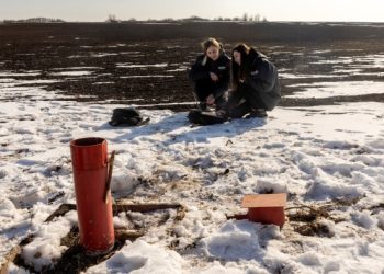 If the US wants more rare earths, it needs to tackle refining