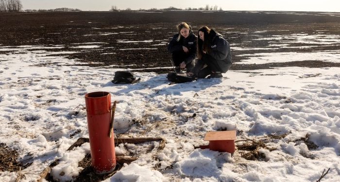 If the US wants more rare earths, it needs to tackle refining