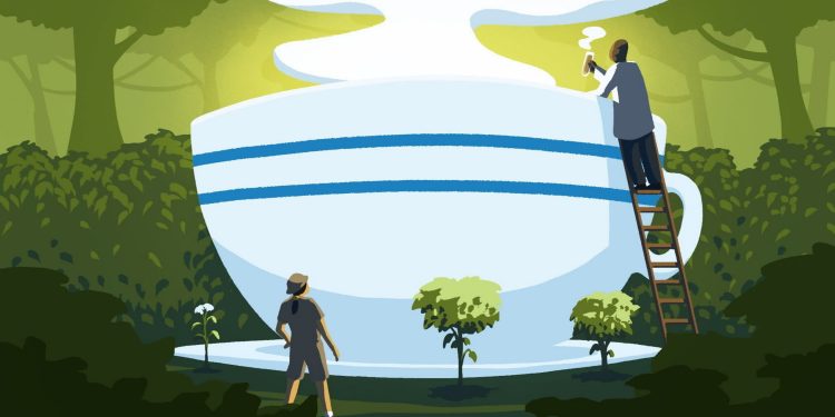 The resilient coffee discovery that could save our morning brew