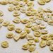 Love letters to pasta