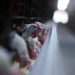 China suspends chicken imports from Brazil due to detection of bird flu